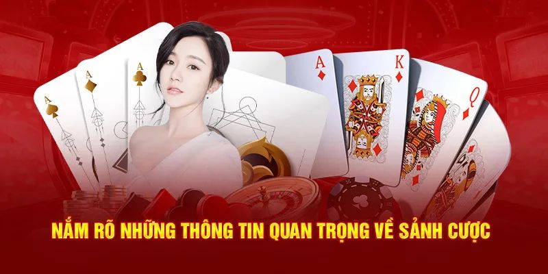 Bài Mậu Binh 33Win | Bật Mí Bí Kíp Thắng Lớn Cho Người Mới 2 Thông tin về tựa game bài Mậu Binh 33win
